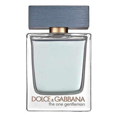 dolce & gabbana the one heren|d&g online shopping.